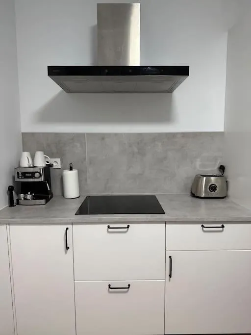 Vivienda Renovada Y Centrica Lägenhet Bilbao Spanien